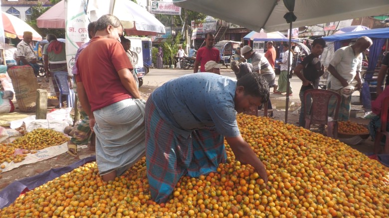 লক্ষ্মীপুরে সুপারির বাম্পার ফলন, ৭০০ কোটি টাকা আয়ের আশা