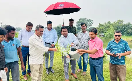 নওগাঁর আত্রাইয়ে মহাসড়কের সৌন্দর্যবর্ধন ও পরিবেশ রক্ষায় ১৫০টি কৃষ্ণচূড়া গাছের চারা রোপণ