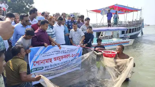 ইটনায় দেশীয় মাছের উৎপাদন বাড়াতে উন্মুক্ত জলাশয়ে পোনা অবমুক্�