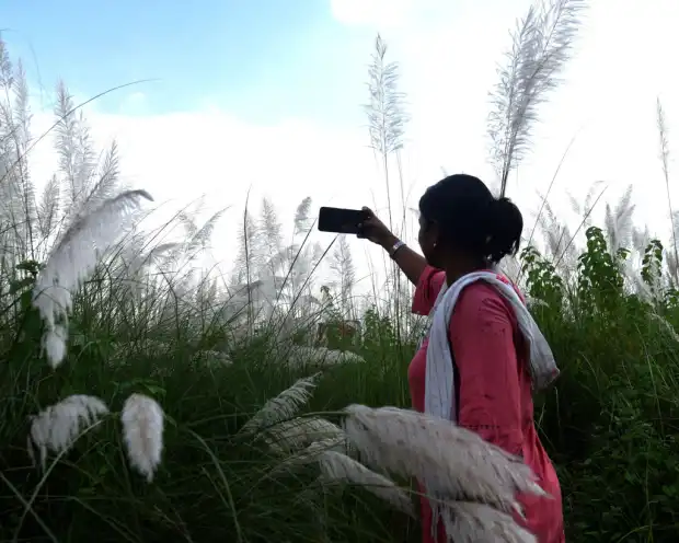 উন্নয়নশীল অর্থনীতির চ্যালেঞ্জ মোকাবিলায় ছোট কৃত্রিম বুদ্ধিমত