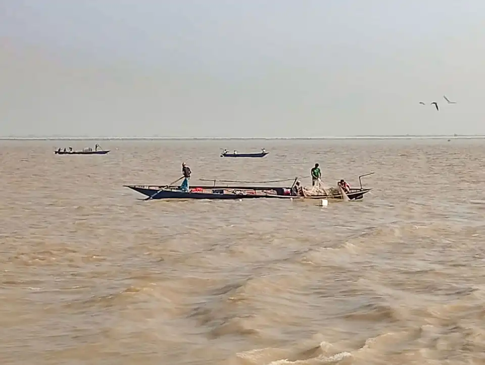 নিষেধাজ্ঞা অমান্য করে পদ্মায় চলছে মা ইলিশ শিকার ও বেচাকেনা