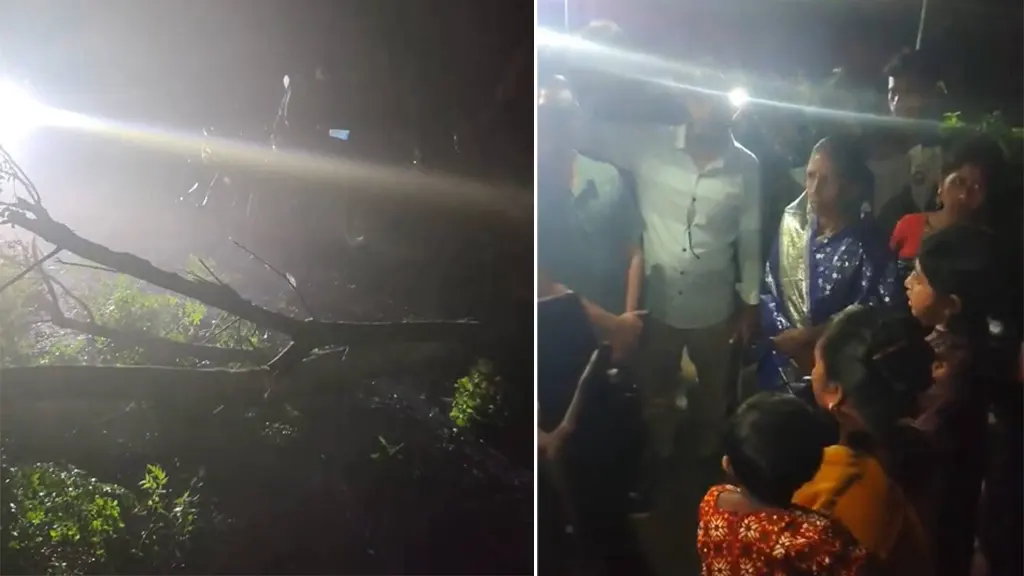 কুষ্টিয়ায় পূজামণ্ডপ থেকে ফেরার পথে সড়কে গাছ ফেলে চার নারীর স