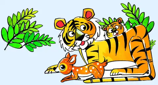 সুন্দরবনের রয়েল বেঙ্গল টাইগারের শারীরিক বৈশিষ্ট্য ও জীবনচক্র