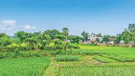 মেঘনা পাড়ে কবির অবহেলিত বসতভিটা ও বায়তুল আমান বাড়ি