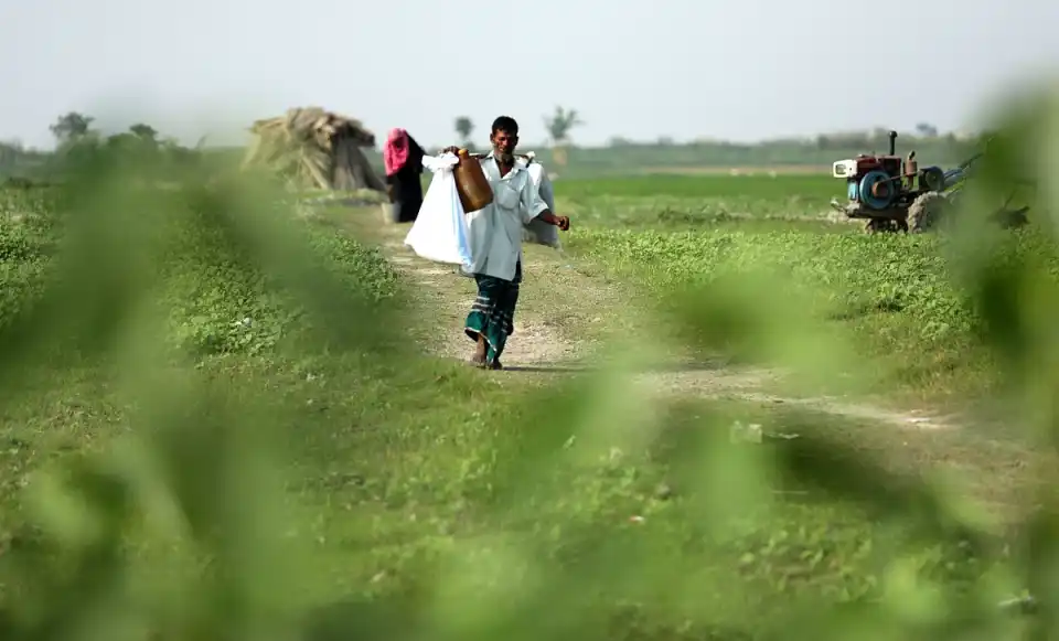 যমুনার বালুচরে জীবিকার টানে প্রতিদিনের কঠিন পথচলা