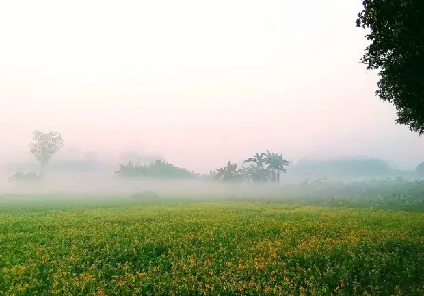 হেমন্তের শেষভাগে শিশিরভেজা সকালে শীতের আভাস