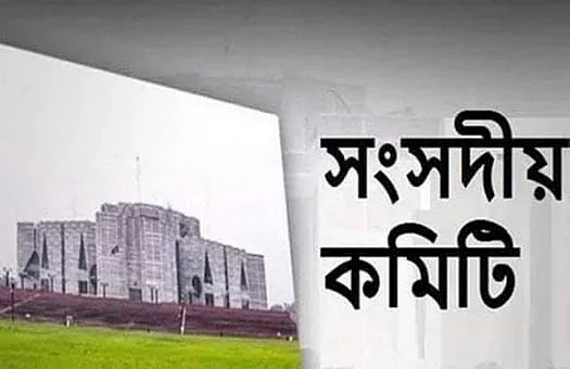 আইনের অভাবে ঝুলে আছে সংসদীয় কমিটির ক্ষমতা বৃদ্ধি