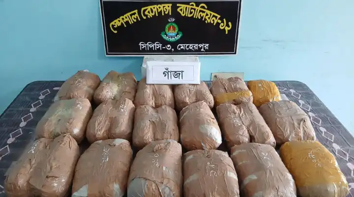 দামুড়হুডায় মাদকসহ আটক নারী, মামলা দায়ের