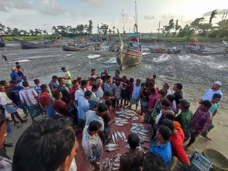 সন্দ্বীপে নিষেধাজ্ঞা উপেক্ষা করে রাতে ইলিশ শিকার ও বিক্রি