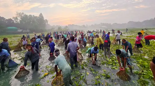 মানিকগঞ্জে পলোবাইচ উৎসবে মৎস্যশিকারিদের উপচে পড়া ভিড়