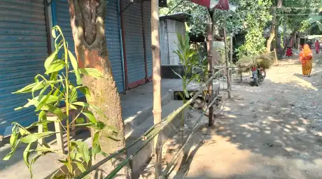 ধুনটে আদালতের ১৪৪ ধারা অমান্য করে দোকানে বেড়া নির্মাণ
