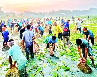 মানিকগঞ্জের ঘিওরে জমে উঠেছে ঐতিহ্যবাহী পলো বাইচ উৎসব