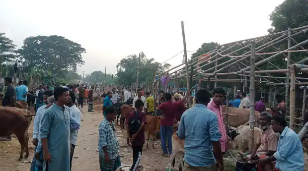 অতিরিক্ত হাসিলে বিপাকে ক্রেতা-বিক্রেতা, অস্বীকার ইজারাদারদের