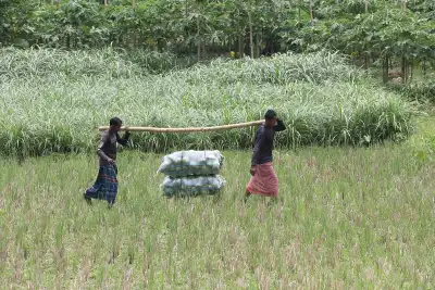 গ্রামীণ অর্থনীতির সংকট ও বৈষম্য দূর করার উপায়