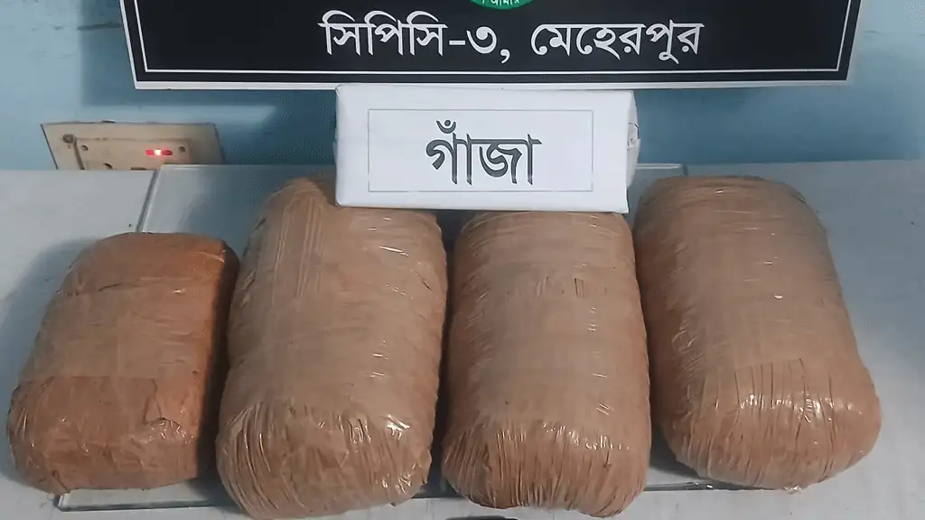 গাংনীতে সাত কেজি গাঁজাসহ তরুণ গ্রেপ্তার