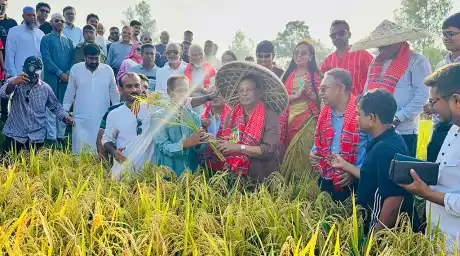 কৃষিতে এআই ও ড্রোন প্রযুক্তির ব্যবহার বাড়াচ্ছে সরকার
