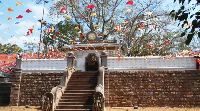 ৭৫ বছরের অ্যালবাট্রস ও ১৯৪ বছরের কচ্ছপ যেভাবে বাঁচিয়ে রেখেছে ইতিহাস