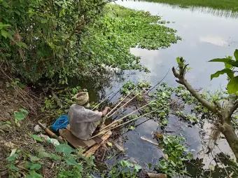 ফরিদপুরের জলাশয়ে নানা বয়সি মানুষের মাছ ধরার বৈচিত্র্যময় দৃশ্