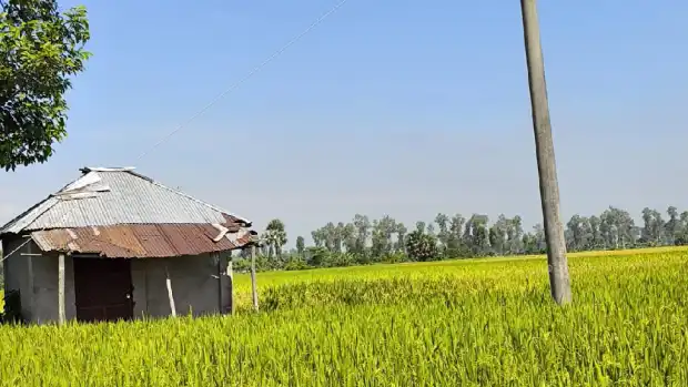 মালিকানা দ্বন্দ্বে বন্ধ নলকূপ, সেচহীন ২০০ বিঘা জমি
