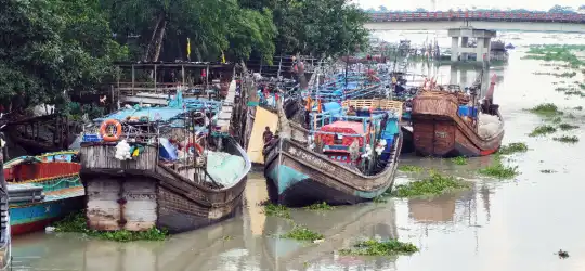 নিষেধাজ্ঞা ও ঋণে বিপর্যস্ত পিরোজপুরের উপকূলীয় জেলেরা