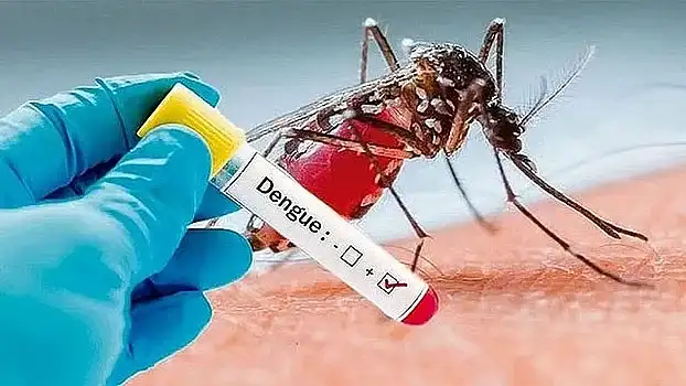 ডেঙ্গুতে মৃত্যু চারশ পার, নতুন ভর্তি ১৯৮২