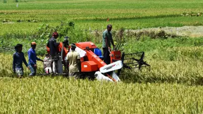 অনুমোদনহীন জনবল নিয়োগে অর্থ আত্মসাতের অভিযোগ