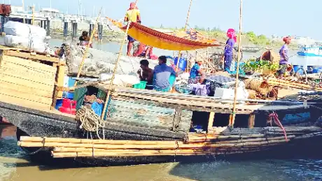 সুন্দরবনের শুঁটকি মৌসুমে জেলেদের কড়া সতর্কতা দিল বন বিভাগ