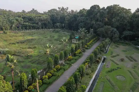 মিরপুর উদ্ভিদ উদ্যানে আকাশছোঁয়া দানবাকৃতি ক্যাকটাস