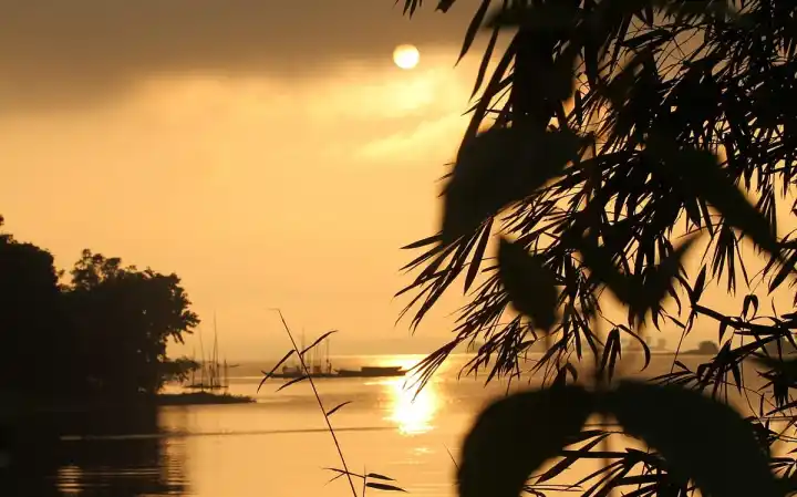 কুয়াশাচ্ছন্ন কাপ্তাই হ্রদে ভোরের মাছ শিকার