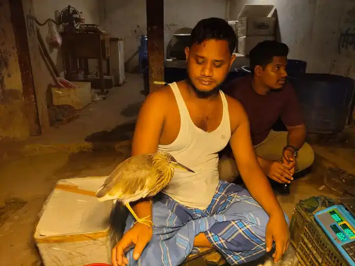 শ্রীপুরে মাছ বিক্রেতা জসিম ও বকের অদ্ভুত বন্ধুত্ব