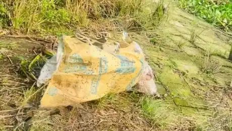 হাত-পা বাঁধা পচাগলা মরদেহ মিলল নরসিংদীর রায়পুরায়